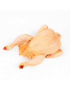 Pollo “Groc Català”
