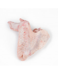 Ala pavo