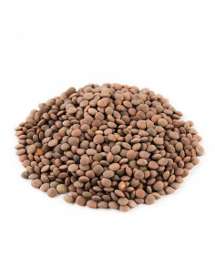 Lenteja pardina